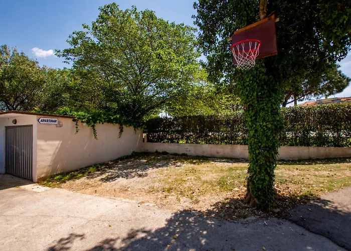 Sunce * Ζαντάρ